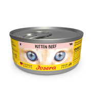 KITTEN BEEF WET