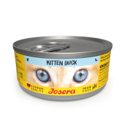 KITTEN DUCK WET