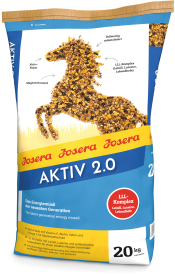 AKTIV 2.0