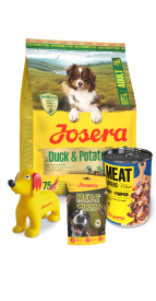 ZESTAW DUCK & POTATO