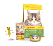 ZESTAW KITTEN GRAINFREE
