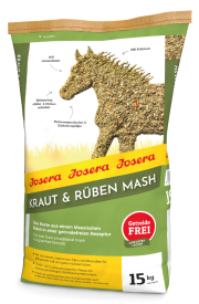KRAUT & RÜBEN MASH