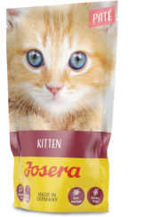 PATÉ KITTEN