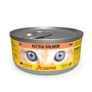 KITTEN SALMON WET