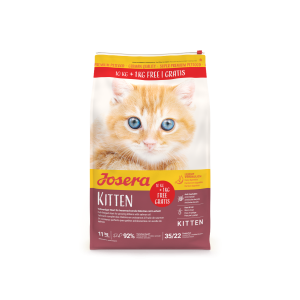 KITTEN
