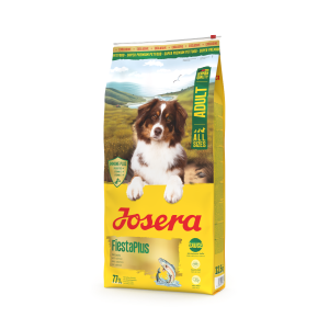 FIESTAPLUS