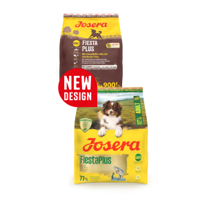 FIESTAPLUS