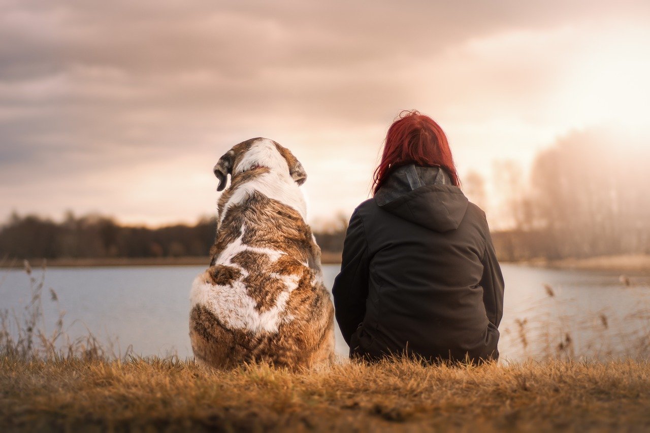 Adopcja psa