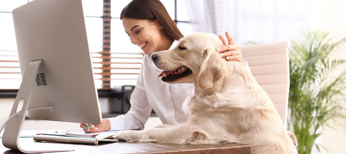Home office z psem – jak przygotować się na pracę zdalną w towarzystwie czworonoga?