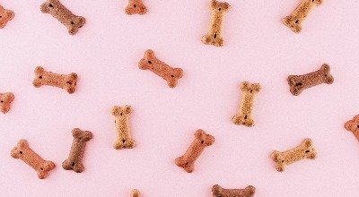 Domowe smakołyki dla psa: 4 proste i szybkie przepisy