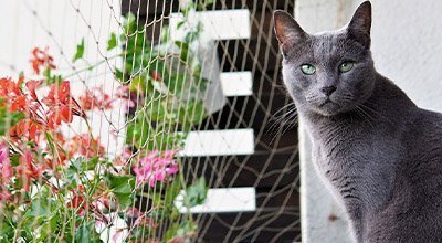 Balkon dla kota: porady dotyczące kociej oazy na świeżym powietrzu