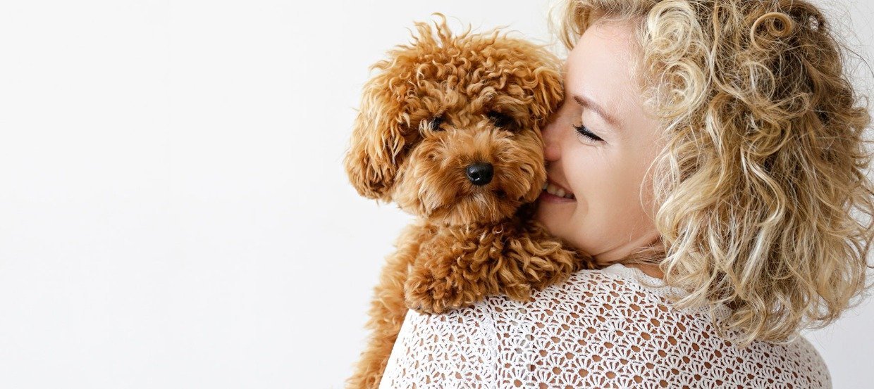 Psy dla alergików: które rasy nie uczulają?