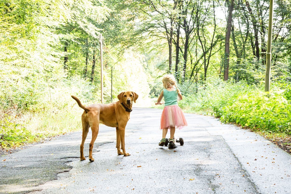 Dziecko i pies na spacerze