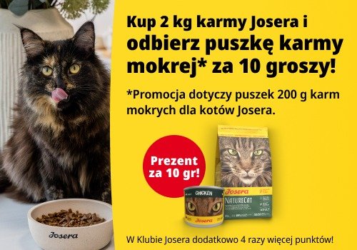 Promocyjny baner