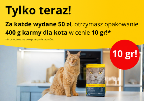 Promocyjny baner