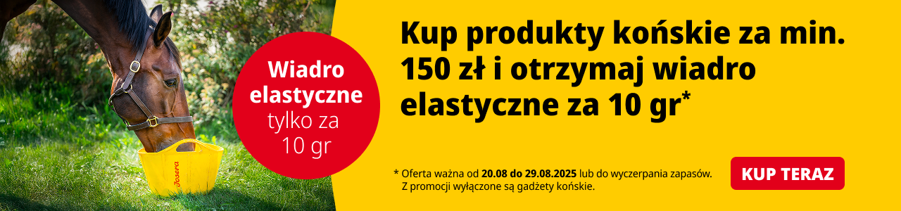 Promocja Josera konie
