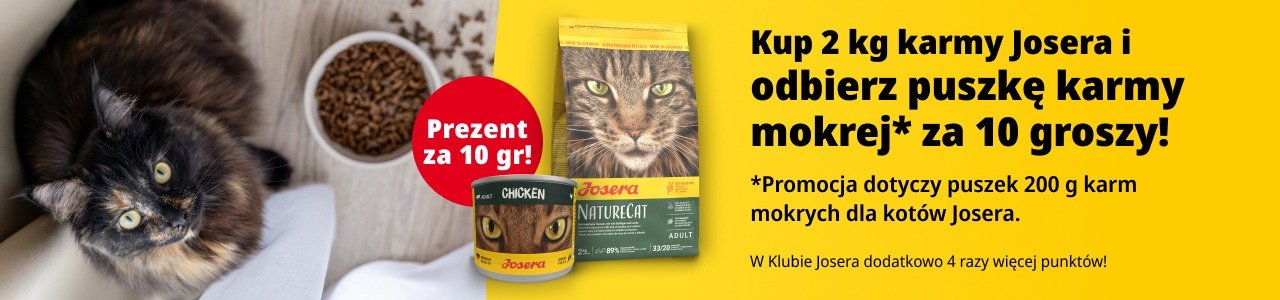 Promocyjny baner