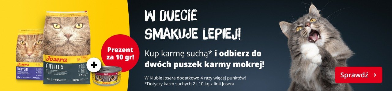Promocyjny baner