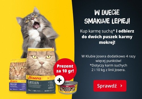 Promocyjny baner