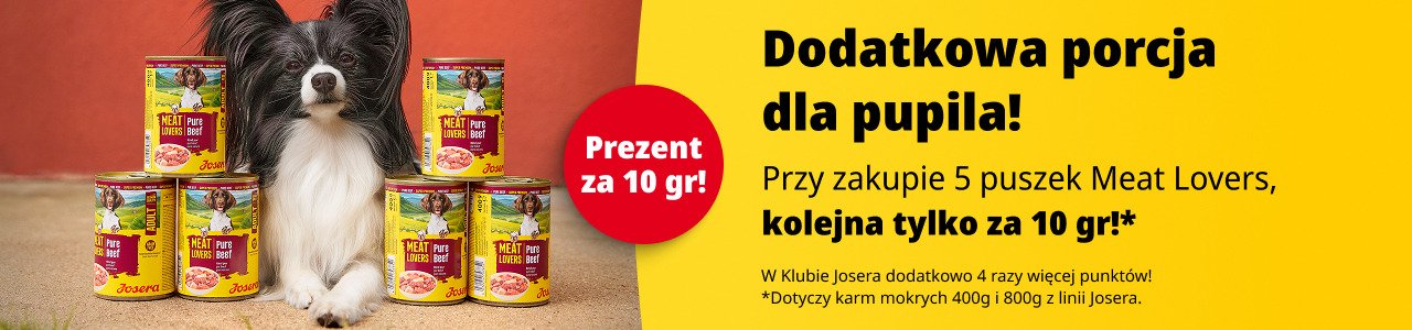 Promocyjny baner