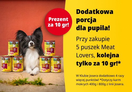 Promocyjny baner