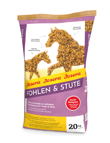 Fohlen & Stute 20kg
