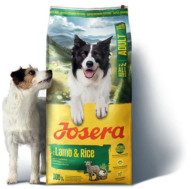 Kleiner Hund neben neuem Josera Futterbeutel