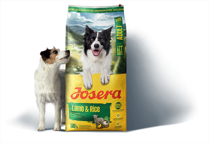 Mały pies obok nowej torby z karmą Josera